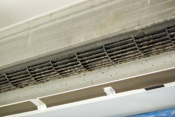 Best Air Duct Cleaning Company Near Me  in Kerens, TX